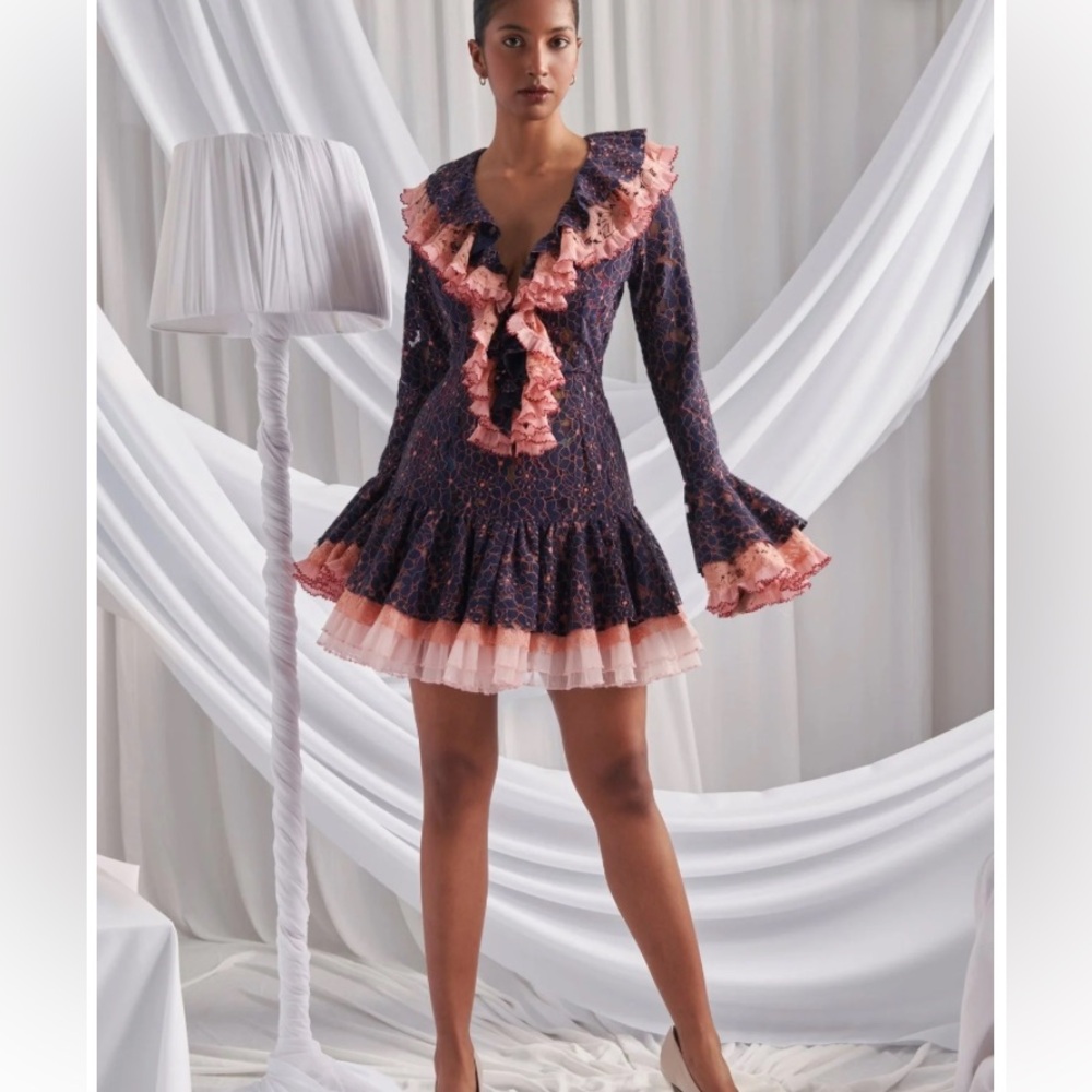 NWT CeliaB Joie Dress - Size M